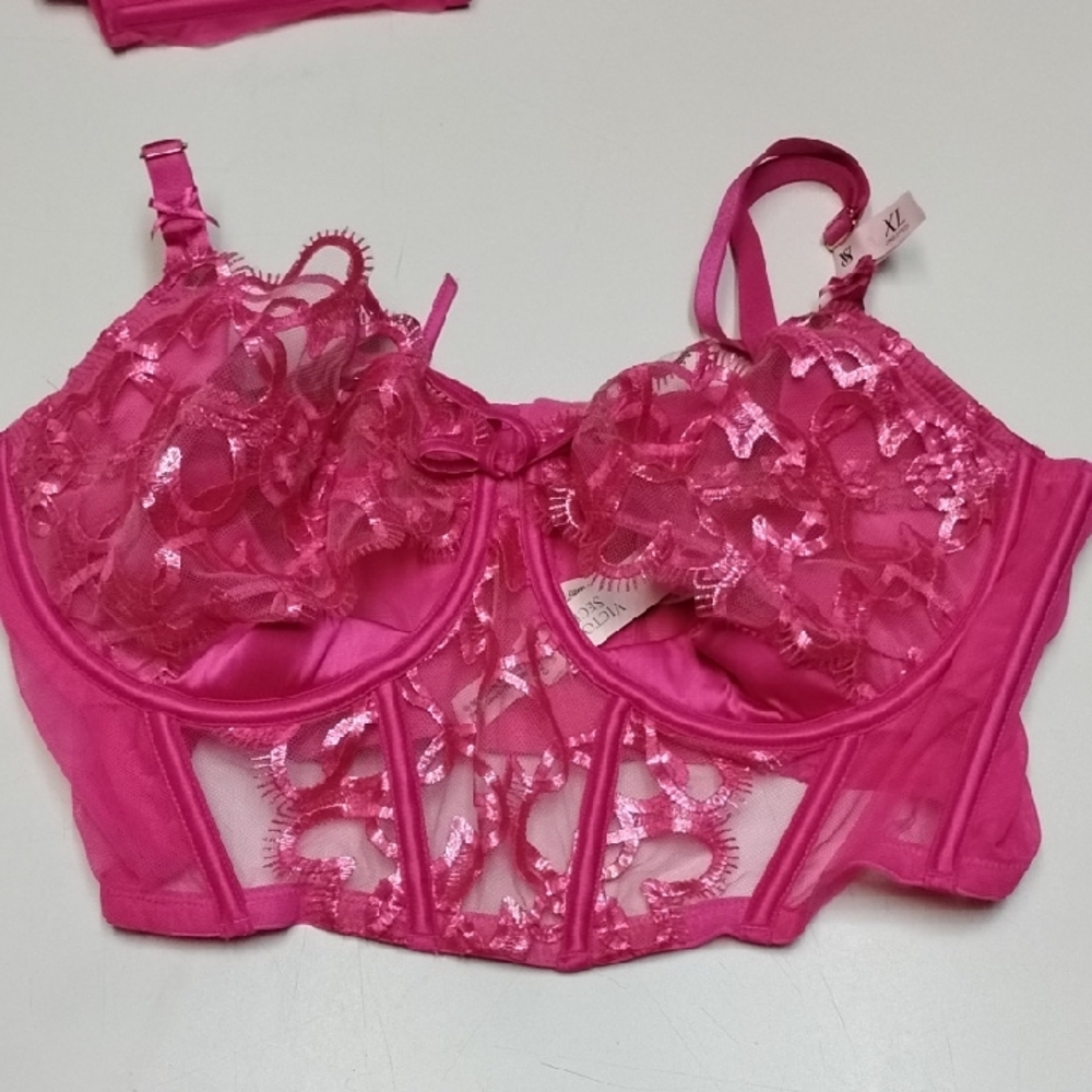 Victoria's Secret Wicked Shimmer Heart Embroidery Corset